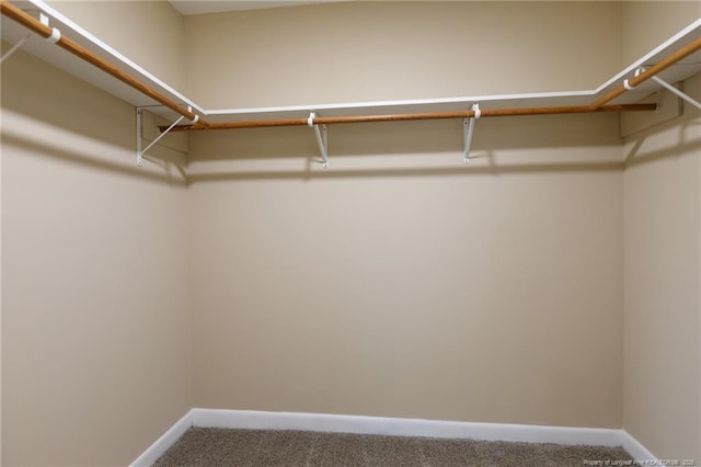 spacious closet with carpet flooring