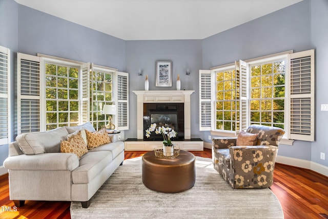 living room with hardwood / wood-style floors and a wealth of natural light