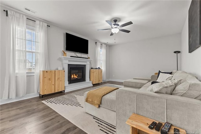 living room with a wealth of natural light, dark hardwood / wood-style floors, and ceiling fan