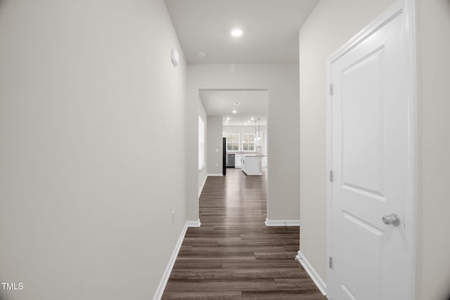 hall featuring dark hardwood / wood-style floors