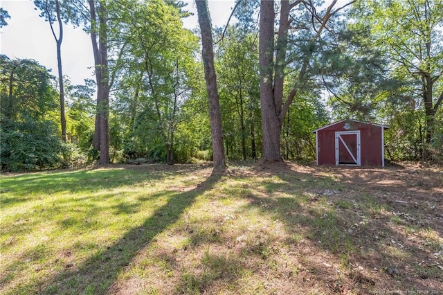 view of yard with a storage shed