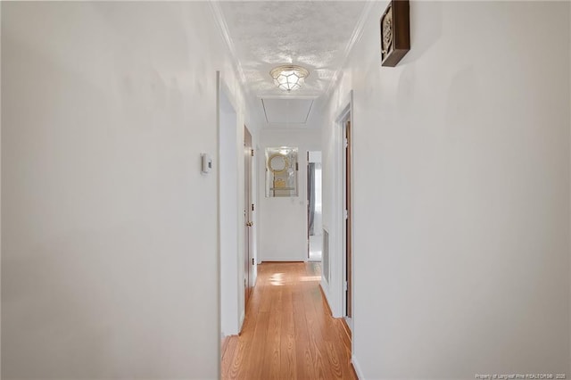 corridor with crown molding, light hardwood / wood-style floors, and a textured ceiling