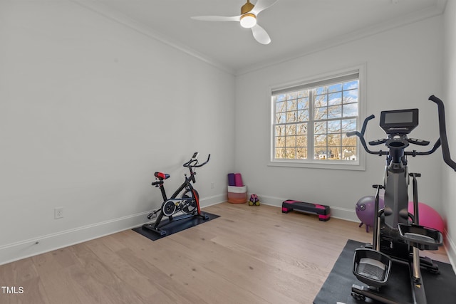 exercise area with a ceiling fan, baseboards, crown molding, and wood finished floors