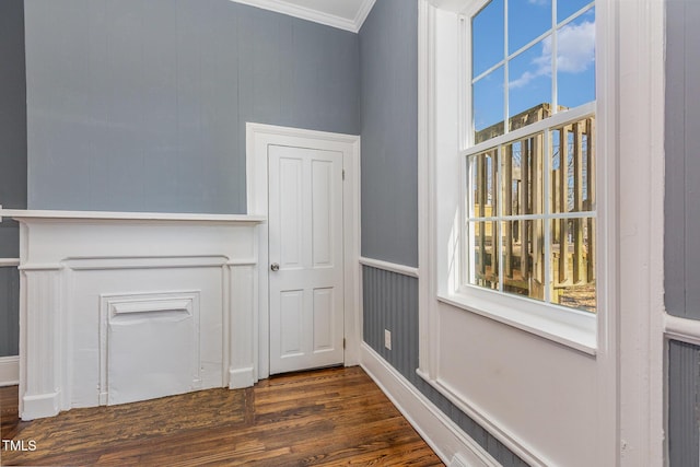 interior space with wood-type flooring and ornamental molding