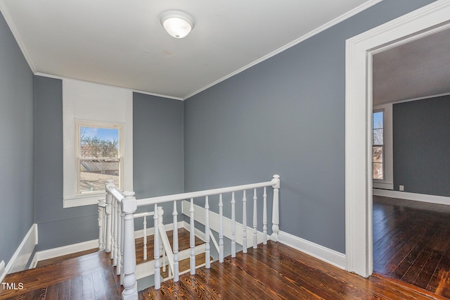 staircase with baseboards, hardwood / wood-style floors, and ornamental molding