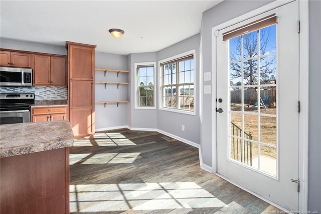 kitchen with decorative backsplash, stainless steel appliances, and dark hardwood / wood-style floors