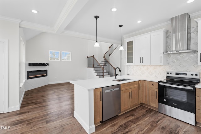 kitchen featuring wall chimney exhaust hood, sink, white cabinetry, appliances with stainless steel finishes, and a premium fireplace