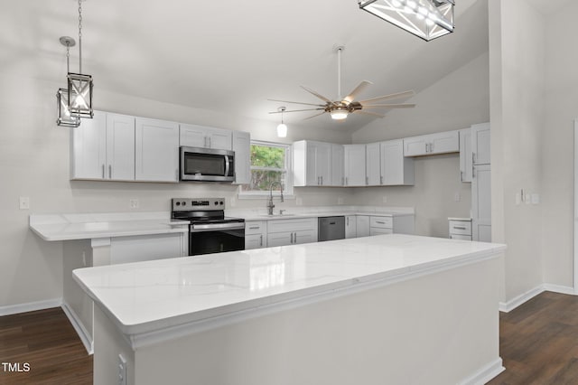 kitchen with pendant lighting, sink, stainless steel appliances, and dark hardwood / wood-style floors