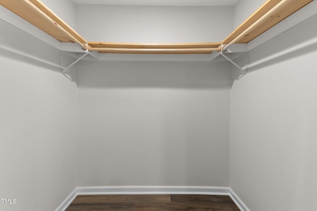 spacious closet featuring hardwood / wood-style floors