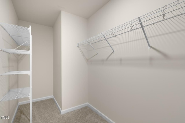 walk in closet featuring carpet