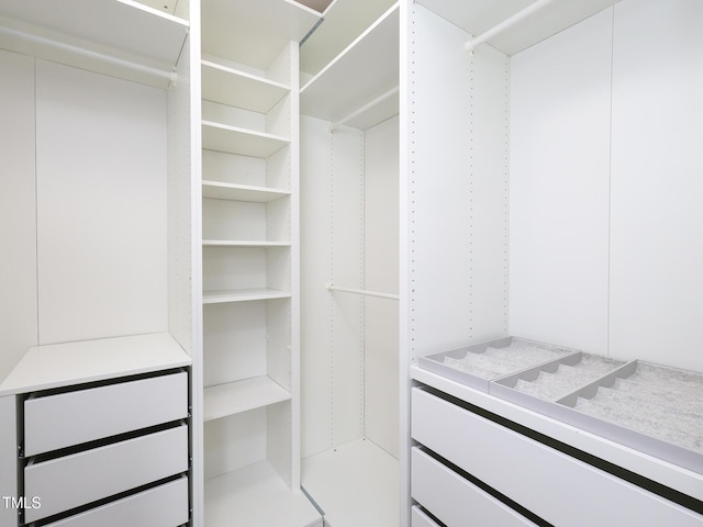 view of walk in closet