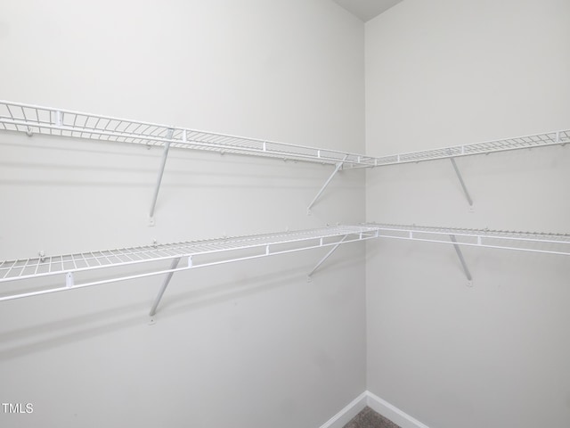 walk in closet with carpet flooring