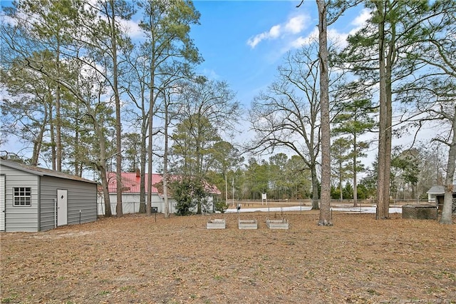 view of yard with a shed