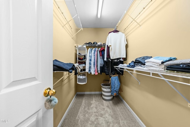 spacious closet with carpet floors