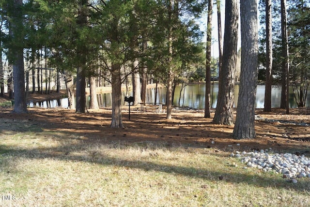 view of yard featuring a water view