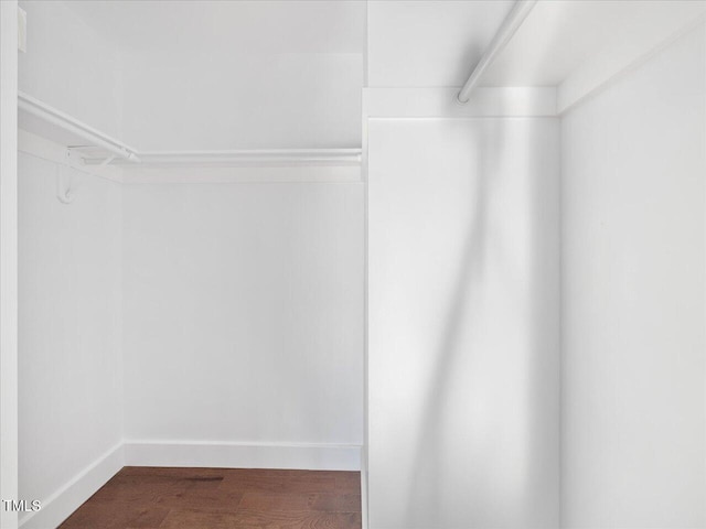 walk in closet featuring hardwood / wood-style flooring