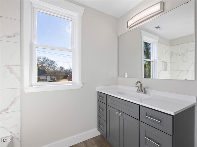 bathroom with vanity, hardwood / wood-style floors, and plenty of natural light