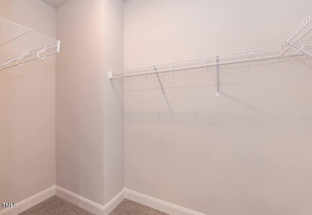 walk in closet with carpet