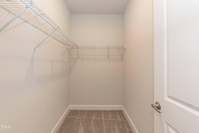 walk in closet with carpet