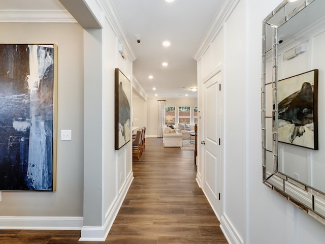 hallway with crown molding and dark wood-type flooring