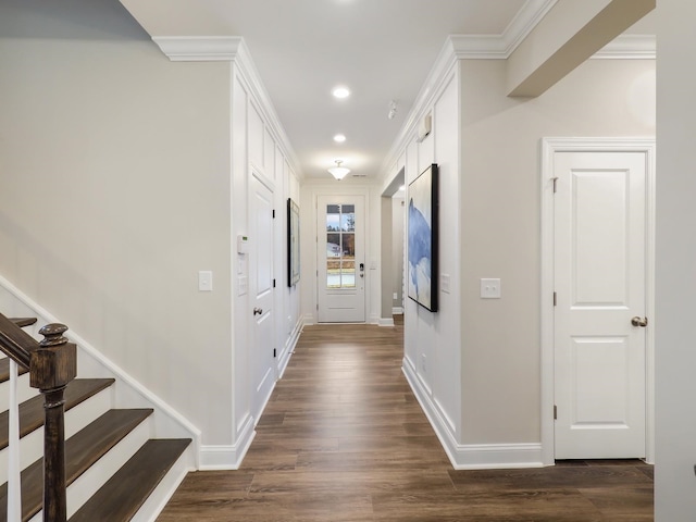 corridor with crown molding and dark wood-type flooring