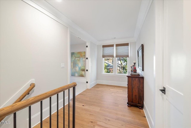 hall featuring crown molding and light hardwood / wood-style flooring