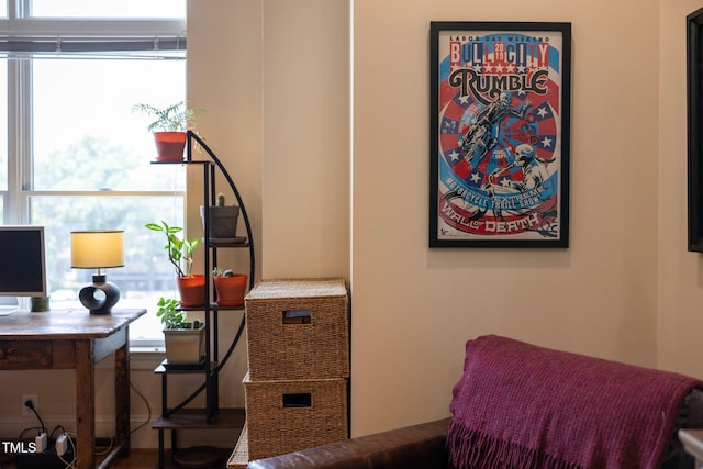 317 W Morgan St Unit 405, Raleigh, NC 27601 - home office with plenty of natural light