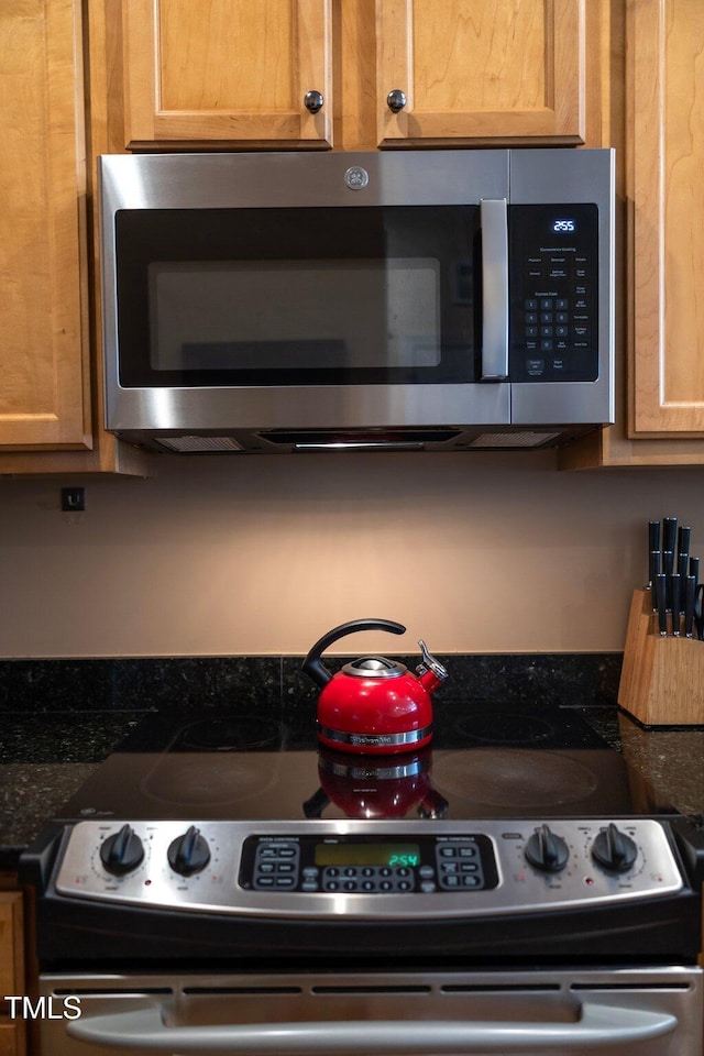 317 W Morgan St Unit 405, Raleigh, NC 27601 - kitchen view of appliances with stainless steel finishes