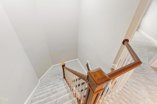 staircase featuring carpet floors