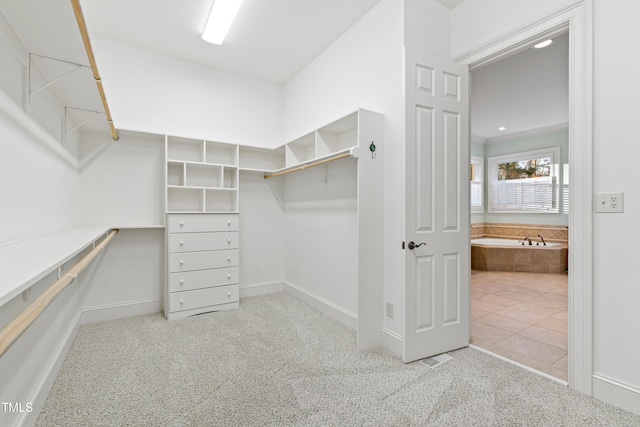 spacious closet featuring light carpet