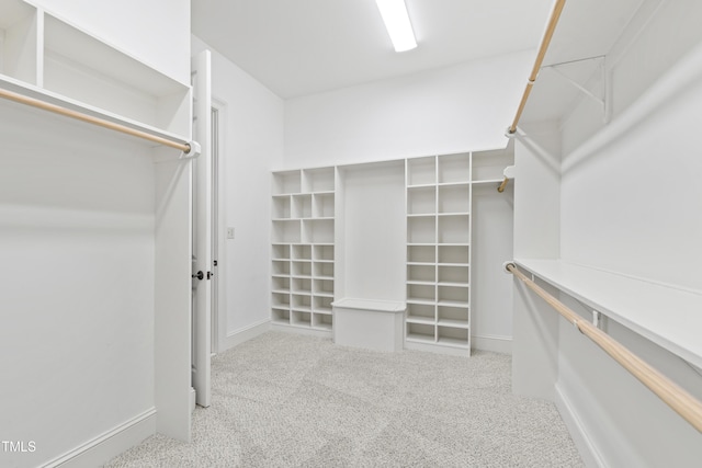 spacious closet featuring carpet floors