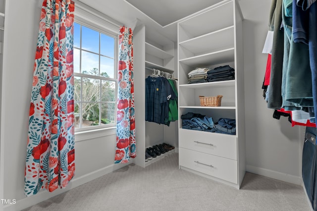 walk in closet with carpet