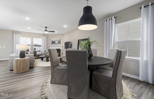 dining area with ceiling fan and light hardwood / wood-style flooring