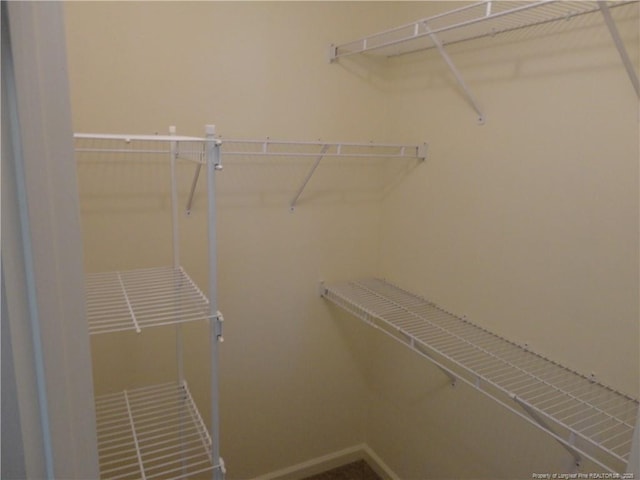 view of walk in closet