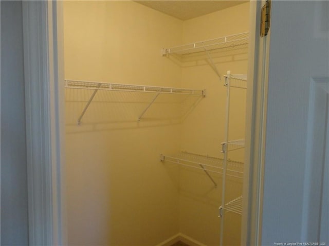 view of walk in closet