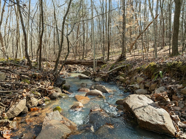 view of local wilderness featuring a wooded view