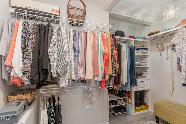 spacious closet with hardwood / wood-style flooring