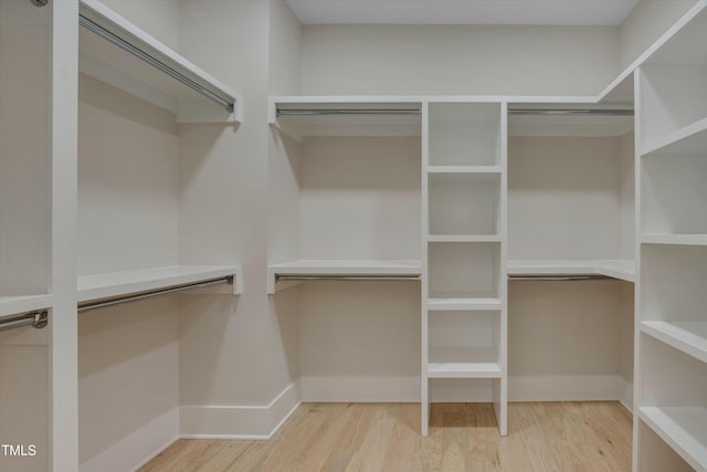 spacious closet featuring wood-type flooring