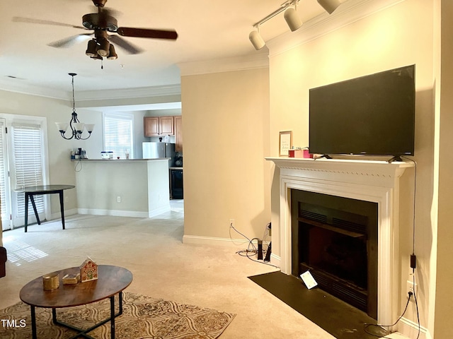 carpeted living room with ceiling fan with notable chandelier, track lighting, and ornamental molding