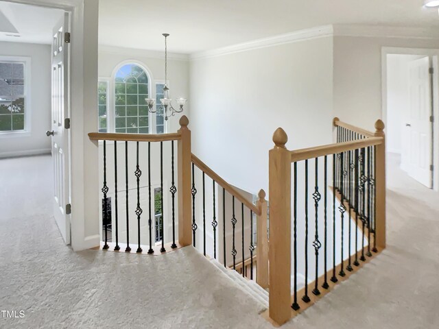 408 Froyle Ct, Rolesville, NC 27571 - photo 24