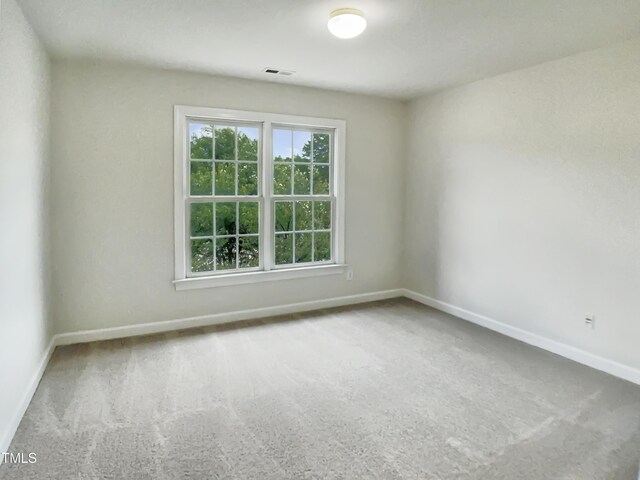 408 Froyle Ct, Rolesville, NC 27571 - photo 28