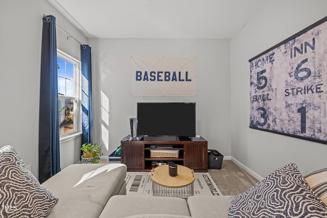 living room featuring carpet flooring