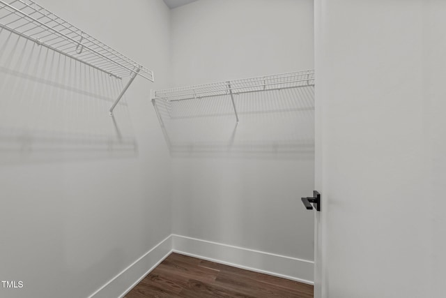 spacious closet with hardwood / wood-style flooring