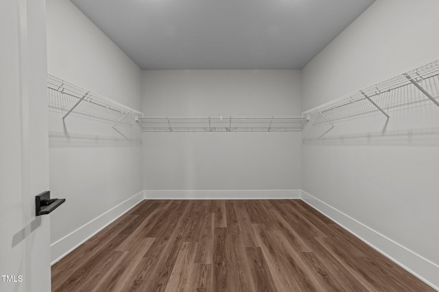 spacious closet featuring dark hardwood / wood-style floors