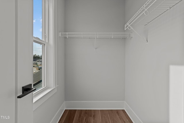 spacious closet with wood-type flooring