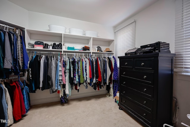 walk in closet featuring light carpet