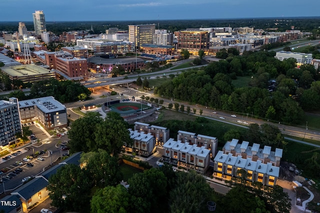 aerial view