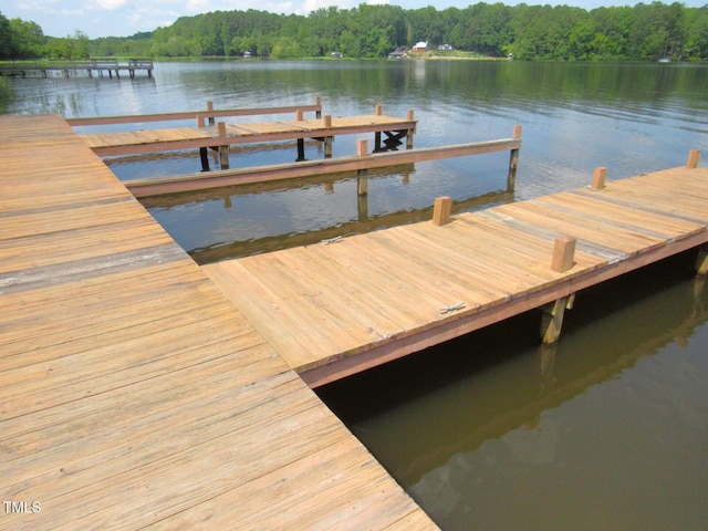116 Beaver Trl, Littleton, NC 27850 - photo 2