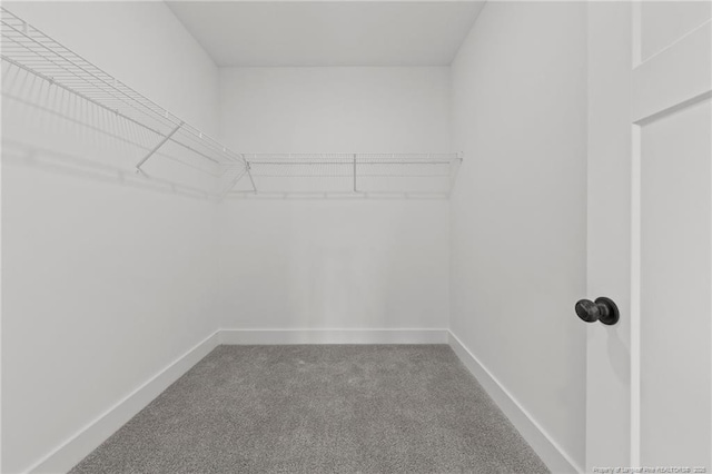 142 Peeler Cir, Raeford, NC 28376 - spacious closet featuring carpet flooring
