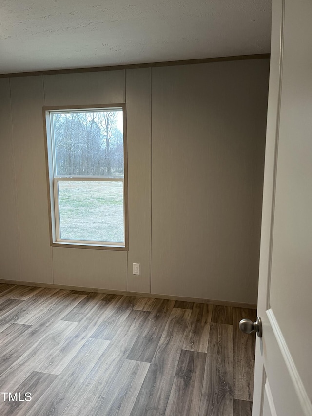 unfurnished room featuring light wood-type flooring